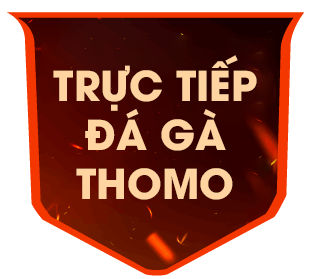 gathomo 13/06/2026
